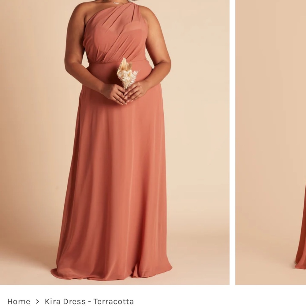 Birdy Grey terracotta dress